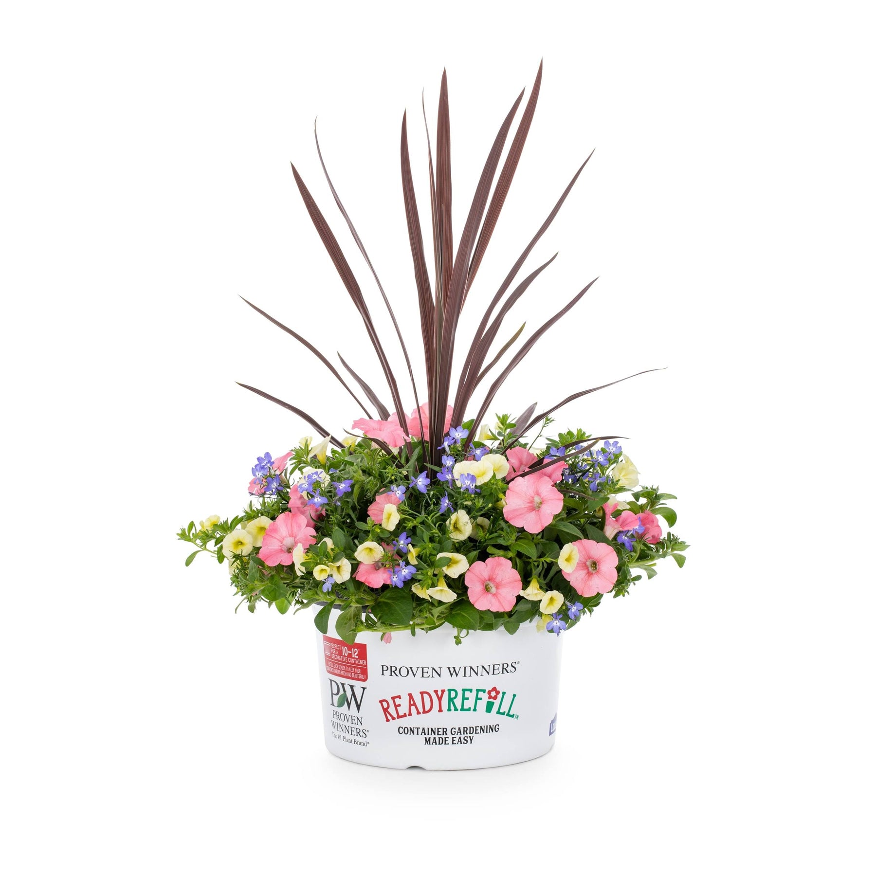 Ready Refill Bermuda Skies in 1.5-Gallon (S) Pot - Nursery - Product image 1