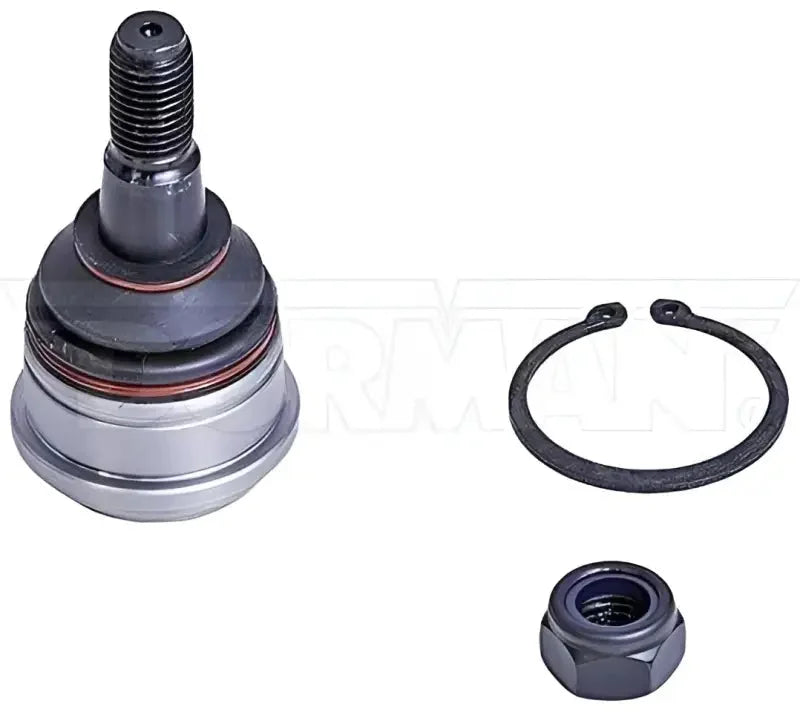 Dorman BJ86325XL Ball Joint