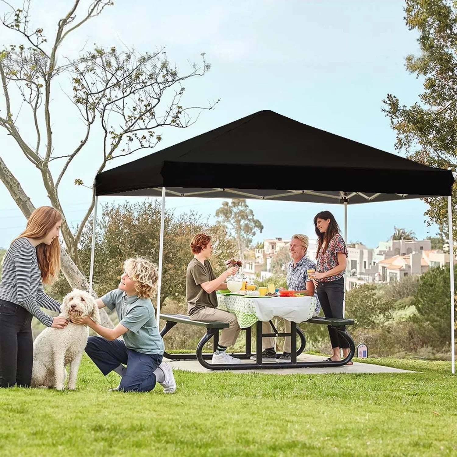 GVDV Canopy Tent, 10x10 Ft Easy Pop up Outdoor Canopy Tent, Portable Straight Leg Gazebo Instant Canopy - Product image 42